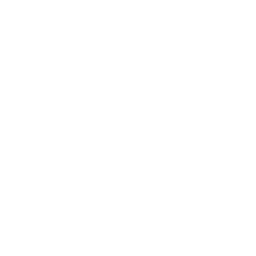 Fotostorie logo med Rock n Roll Bride-merke.